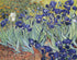 Irises DIY Diamond Painting  - Vincent Van Gogh